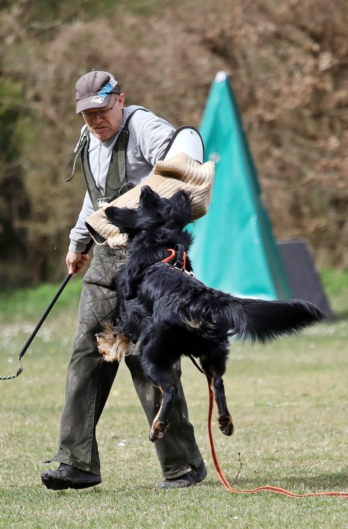 Kontrolliertes Schutzdiensttraining mit einer Hovawart‑Hündin bei Spitzhirn Hundetraining in Nürnberg; ruhige, strukturierte Anleitung