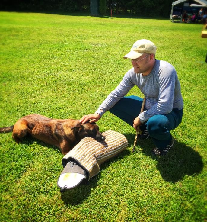 uhiges, kontrolliertes Schutzdiensttraining mit Jerry ‚Galfords Jared‘ bei Spitzhirn Hundetraining in Nürnberg