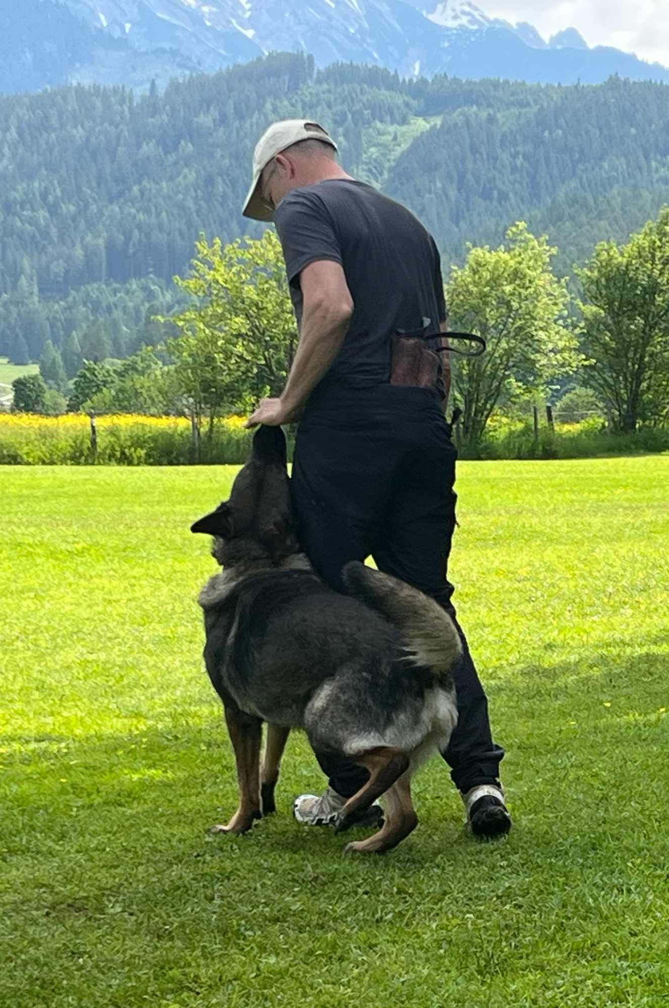 Hundetrainer Thomas Spitzhirn arbeitet mit Schäferhund Clemm in der Unterordnung; ruhige, präzise Zusammenarbeit